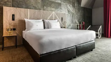 Hotel Nosalowy Park