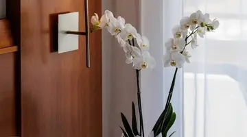 Hotel O7 Colombo