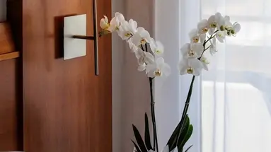 Hotel O7 Colombo