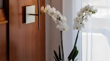 Hotel O7 Colombo