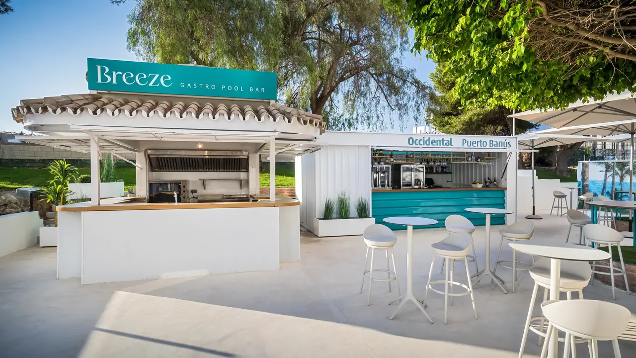 Hotel Occidental Puerto Banus
