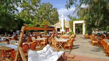 Hotel Okaliptus