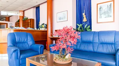 Hotel Omorika Punat