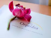 Hotel Orquidea