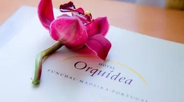 Hotel Orquidea