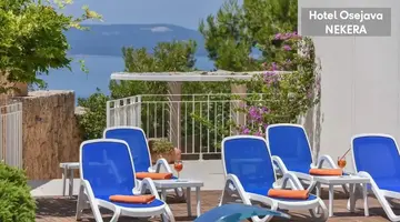 Hotel Osejava