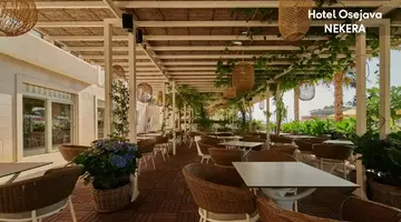 Hotel Osejava