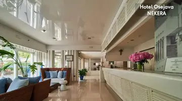 Hotel Osejava