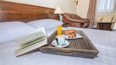 HOTEL PAGUS