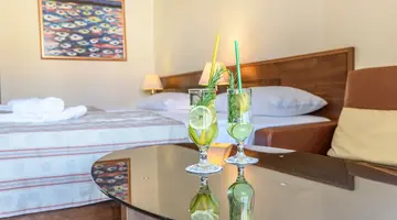 HOTEL PAGUS