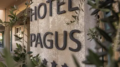 Hotel Pagus