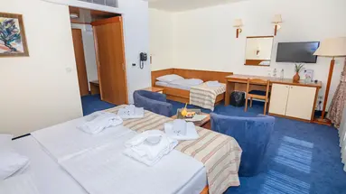 HOTEL PAGUS