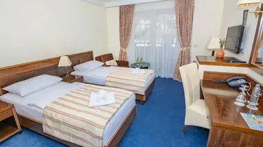 Hotel Pagus