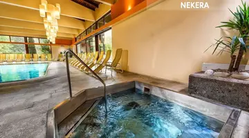 Hotel PALACE Bad Hofgastein