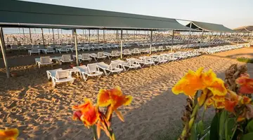 Hotel Palm World Side Resort and Spa