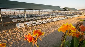 Hotel Palm World Side Resort and Spa