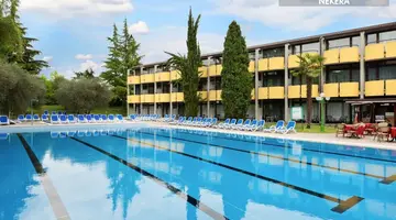 Hotel Palme & Suite