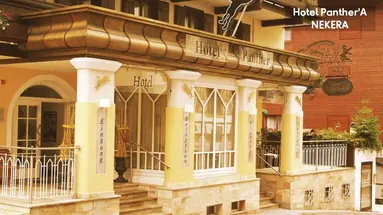 Hotel Panther'A