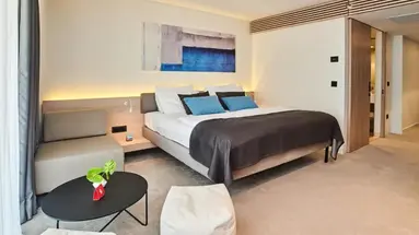 HOTEL PARK PLAVA LAGUNA