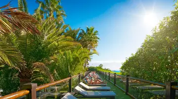 Hotel Parque Tropical