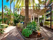 Hotel Parque Tropical