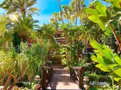 Hotel Parque Tropical