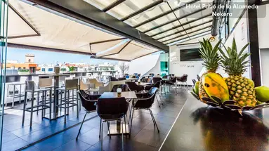 Hotel Patio de la Alameda
