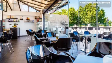 Hotel Patio de la Alameda