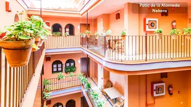 Hotel Patio de la Alameda