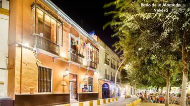 Hotel Patio de la Alameda