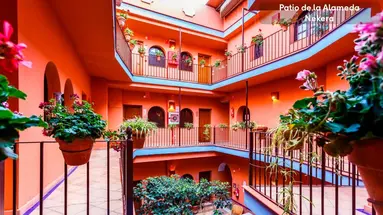 Hotel Patio de la Alameda