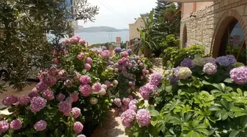 Hotel Piccolino