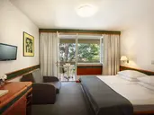HOTEL PINETA***