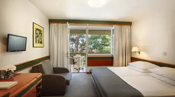 HOTEL PINETA***