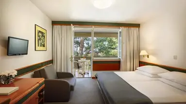 HOTEL PINETA***