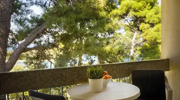 Hotel Pineta