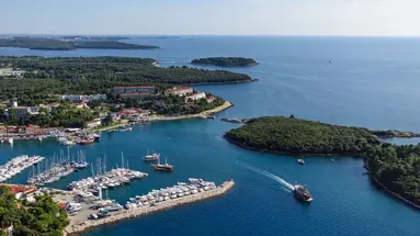 HOTEL PINETA***