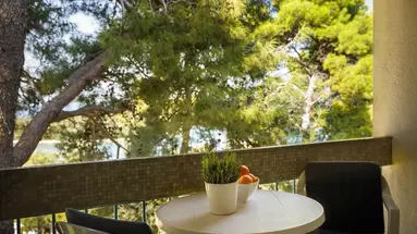 Hotel Pineta