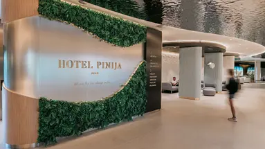 HOTEL PINIJA****