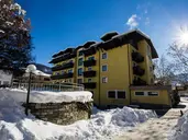 Hotel Pinzgauerhof