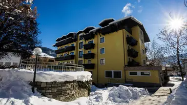 Hotel Pinzgauerhof