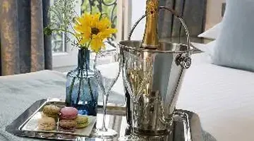 Hotel Plaza Elysees