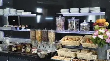 Hotel Plaza Elysees