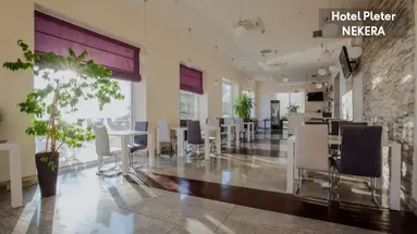 Hotel Pleter