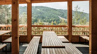 Hotel Pod Jedlami