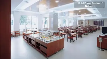 Hotel Porcel Ganivet