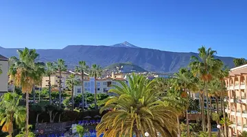 HOTEL PUERTO PALACE 4*