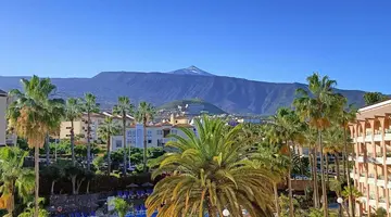 Hotel Puerto Palace