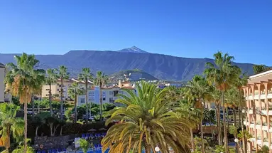Hotel Puerto Palace