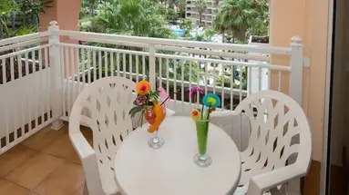 Hotel Puerto Palace